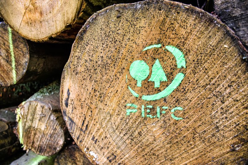 Um close-up de um tronco de madeira com o logo PEFC (Programa para o Endosse da Certificação Florestal) pintado em verde, simbolizando a certificação de manejo florestal sustentável.